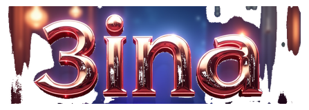 3ina logo